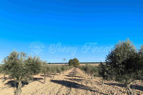 Landejendom i Yecla, Murcia, Yecla - € 185.000 | Ref: SF0522 - foto 29